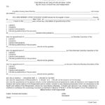 17 A Guardianship Citation Guardianship New York Surrogate