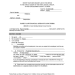 19 Printable General Affidavit Florida Forms And Templates Fillable