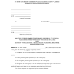 20 Printable Emergency Temporary Custody Form Templates Fillable