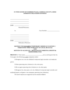 20 Printable Emergency Temporary Custody Form Templates Fillable