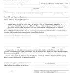 2021 Child Custody Form Fillable Printable PDF Forms Handypdf