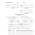 2021 Child Custody Form Fillable Printable PDF Forms Handypdf