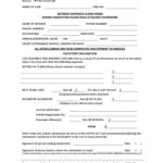 21 Printable Statutory Declaration Witness Forms And Templates