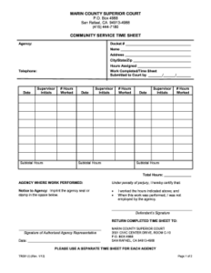 23 Printable Volunteer Hours Timesheet Forms And Templates Fillable