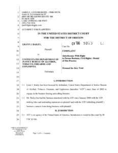 24 Printable Sample Civil Complaint Federal Court Forms And Templates