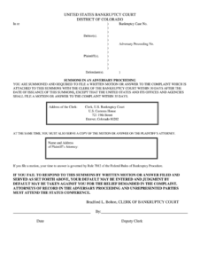 Adversary Proceeding Template Fill Out And Sign Printable PDF