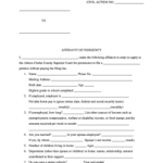 Affidavit Of Indigency Georgia Editable Fillable Printable