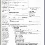 Alameda County Court Forms Family Law Form Resume Examples mL52vg25Xo