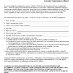 Caretaker Authorization Affidavit Form Hamilton County Juvenile Court