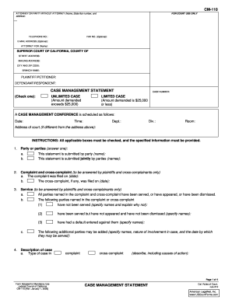 Case Management Statement Cm 110 Fillable Fill Online Printable