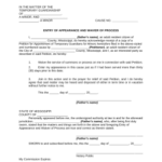 Chancery Court Doc Template PdfFiller