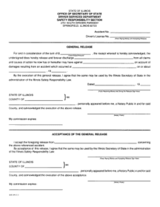 Circuit Court Of Cook County Forms Editable Fillable Printable