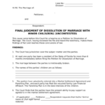 Clerk Of The Court Alachua County Dissolution Of Marriage Packet Doc