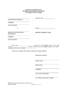 Cuyahoga County Domestic Relations Court Fill Out And Sign Printable