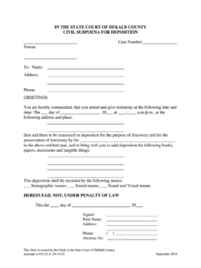 Dekalb State Court Fill Out And Sign Printable PDF Template SignNow