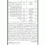 District And Session Court Karachi South Jobs 2016 June NTS Application