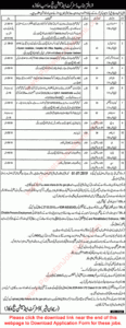 District And Session Court Okara Jobs 2019 June Application Form Data