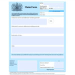 Download And Fill Form N1 For Making A Claim DNS Accountants