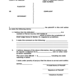 Editable Civil Complaint Form Fill Out Print Download In Word