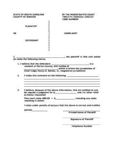 Editable Civil Complaint Form Fill Out Print Download In Word