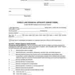 Editable Florida Financial Affidavit Short Form Fillable Fill Print