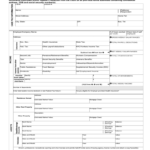 Family Court Affidavit Fill Online Printable Fillable Blank