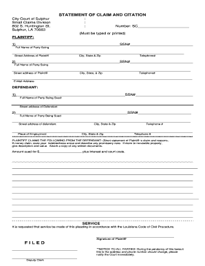 File Small Claims Court Fill Online Printable Fillable Blank 