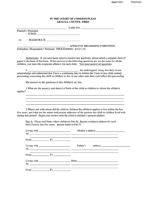 Fillable Affidavit Regarding Parenting Form The Court Of Common Pleas