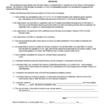 Fillable Form 19 3 Affidavit Probate Court Of Fairfield County Ohio