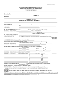 Fillable Form 2 Chapter 13 Plan United States Bankruptcy Court