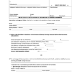 Fillable Form 28 Objection To Calculation Of The Amount Of Exempt