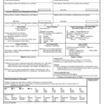 Fillable Form B1 Voluntary Petition United States Bankruptcy Court