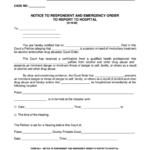 Fillable Ohio Probate Form Notice To Respondent And Emergency Order