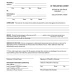 Fillable Online Collincountytx Small Claim Petition 2 pdf