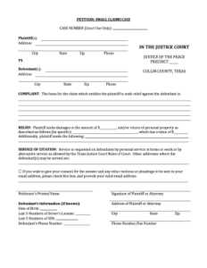 Fillable Online Collincountytx Small Claim Petition 2 pdf