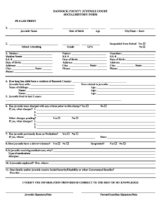 Fillable Online Social History Form Bannock County Fax Email Print