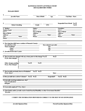 Fillable Online Social History Form Bannock County Fax Email Print 