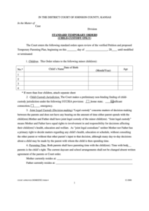 Fillable Standard Temporary Child Custody Parenting Time Order Form