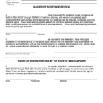 Fillable The State Of New Hampshire Court Forms Printable Pdf Download