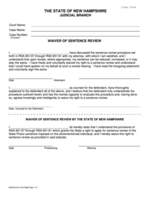 Fillable The State Of New Hampshire Court Forms Printable Pdf Download