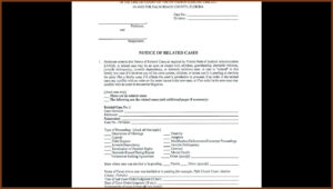 Florida Small Claims Court Forms Broward Form Resume Examples