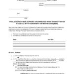 Florida Supreme Court Approved Family Law Form 12 994 a