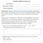 Form 12 Download Fillable PDF Or Fill Online Informal Brief District