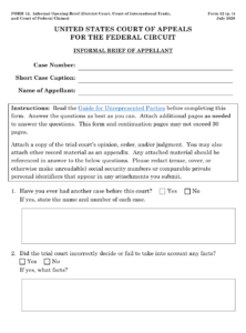 Form 12 Download Fillable PDF Or Fill Online Informal Brief District