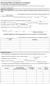 Form 3 E Download Fillable PDF Or Fill Online Nominating Petition And