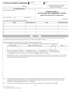 Form AOC J 468 Download Fillable PDF Or Fill Online Juvenile Level 3