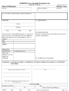 Form CHP102 Download Printable PDF Or Fill Online Subpoena In A