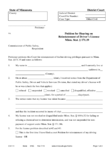 Form CIV111 Download Printable PDF Or Fill Online Petition For Court