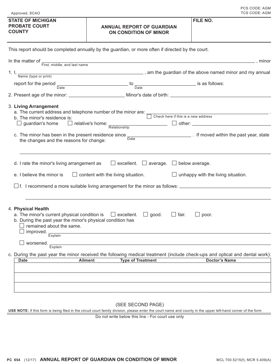 Annual Guardianship Forms To File With Probate Court