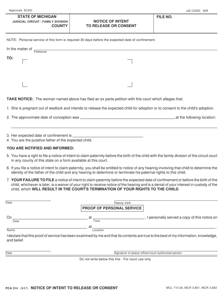 Form PCA314 Download Fillable PDF Or Fill Online Notice Of Intent To